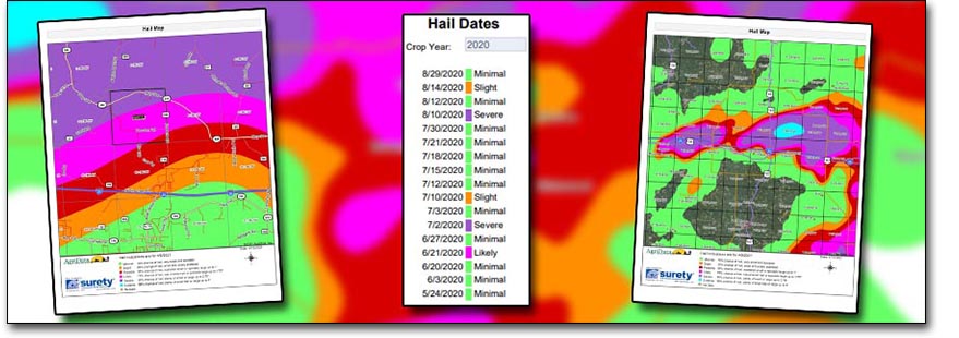 Surety Hail History