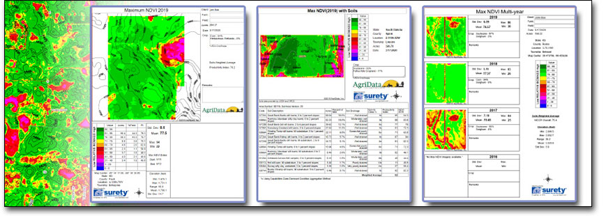 Surety NDVI Report